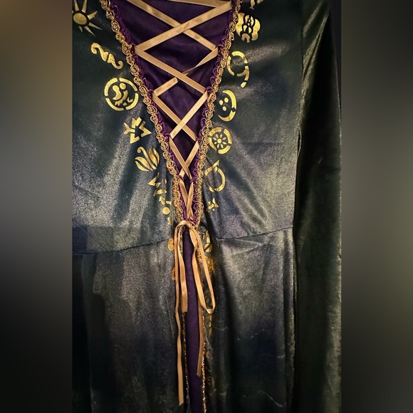 Hocus Pocus, Winifred Costume and Wig. Child size 14-16. - Picture 2 of 7